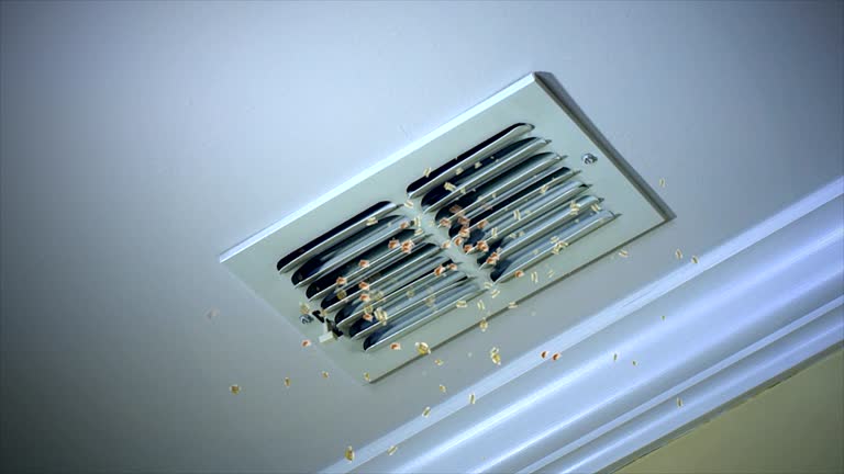 Best Professional Duct Cleaning Services  in Cambridge, MD