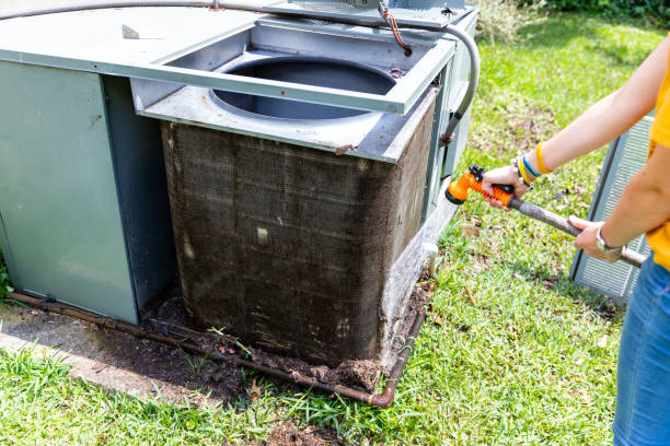 Best Local Air Duct Cleaning Services  in Cambridge, MD