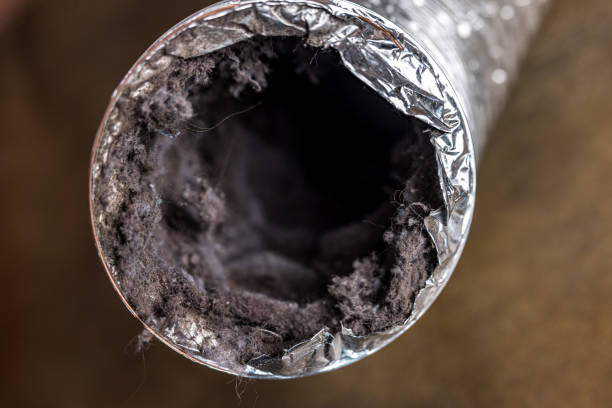 Best HVAC Air Duct Cleaning  in Cambridge, MD