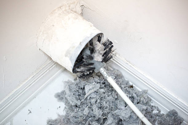 Best HVAC System Cleaning  in Cambridge, MD